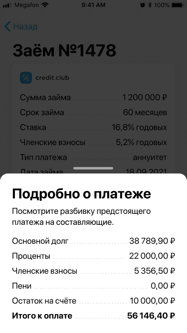 Скриншот платежа в личном кабинете
